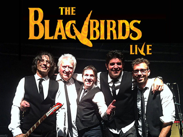 blackbirds-verfeil